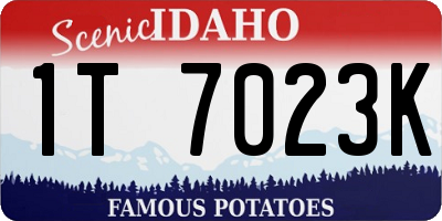 ID license plate 1T7023K