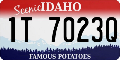 ID license plate 1T7023Q