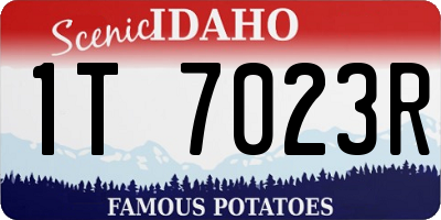 ID license plate 1T7023R