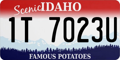 ID license plate 1T7023U
