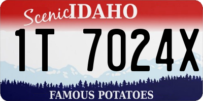 ID license plate 1T7024X