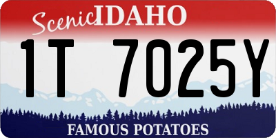 ID license plate 1T7025Y