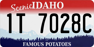 ID license plate 1T7028C