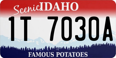 ID license plate 1T7030A