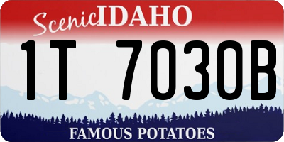 ID license plate 1T7030B