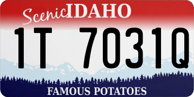 ID license plate 1T7031Q