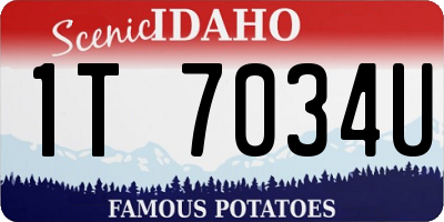 ID license plate 1T7034U