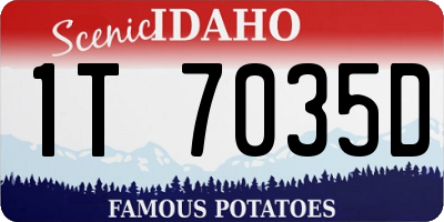 ID license plate 1T7035D