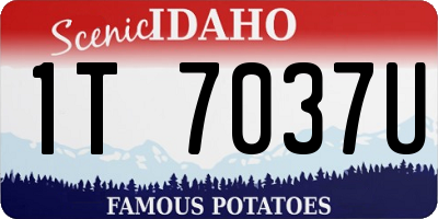 ID license plate 1T7037U