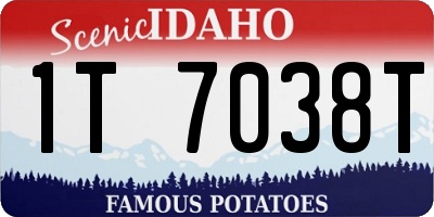 ID license plate 1T7038T