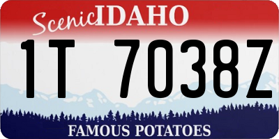 ID license plate 1T7038Z