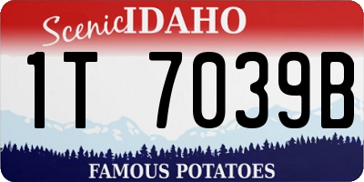 ID license plate 1T7039B