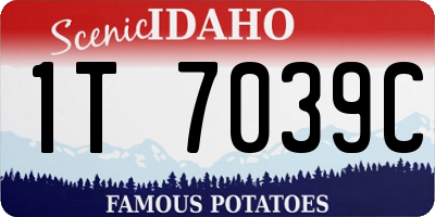 ID license plate 1T7039C