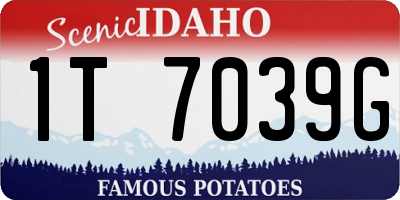 ID license plate 1T7039G