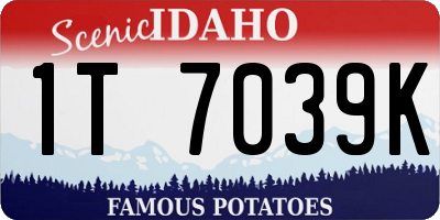 ID license plate 1T7039K