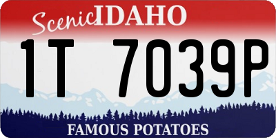 ID license plate 1T7039P