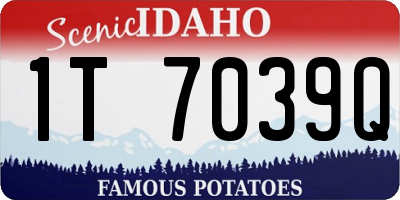 ID license plate 1T7039Q