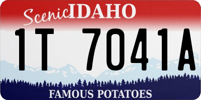 ID license plate 1T7041A