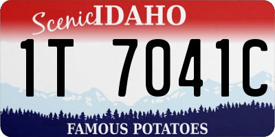 ID license plate 1T7041C