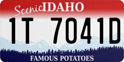 ID license plate 1T7041D