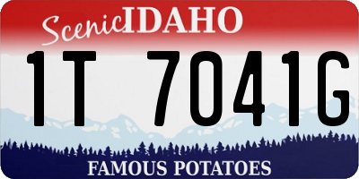ID license plate 1T7041G