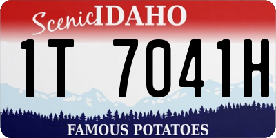 ID license plate 1T7041H