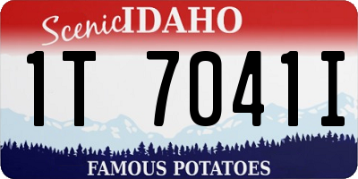 ID license plate 1T7041I