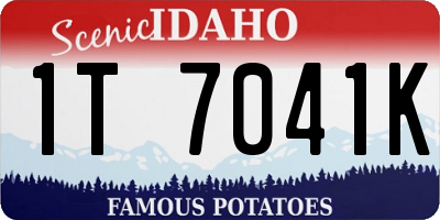ID license plate 1T7041K
