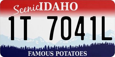ID license plate 1T7041L
