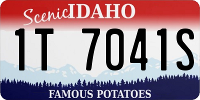 ID license plate 1T7041S