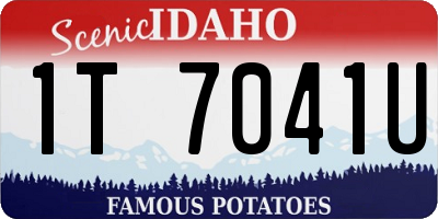 ID license plate 1T7041U
