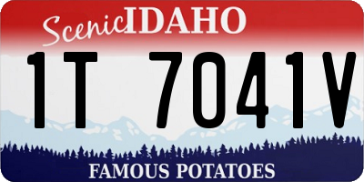 ID license plate 1T7041V