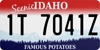 ID license plate 1T7041Z