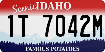 ID license plate 1T7042M