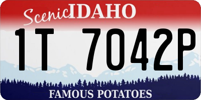 ID license plate 1T7042P