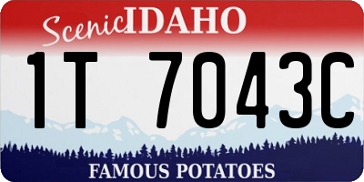 ID license plate 1T7043C