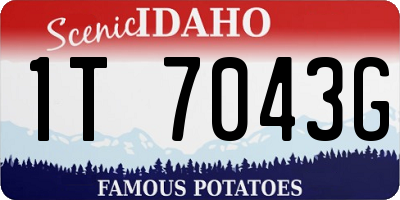 ID license plate 1T7043G