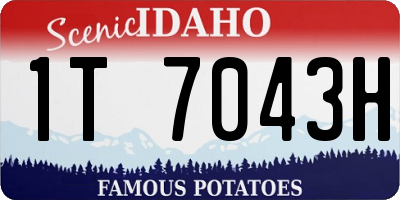 ID license plate 1T7043H