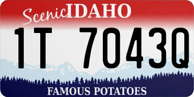 ID license plate 1T7043Q