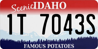 ID license plate 1T7043S