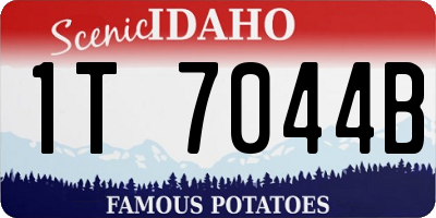ID license plate 1T7044B