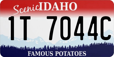 ID license plate 1T7044C