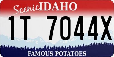 ID license plate 1T7044X