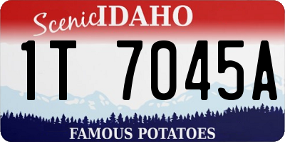 ID license plate 1T7045A