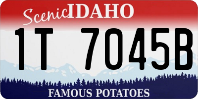 ID license plate 1T7045B