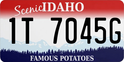 ID license plate 1T7045G