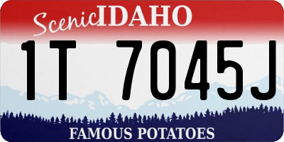 ID license plate 1T7045J