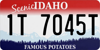 ID license plate 1T7045T