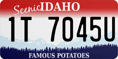 ID license plate 1T7045U