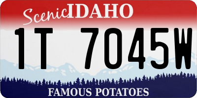 ID license plate 1T7045W